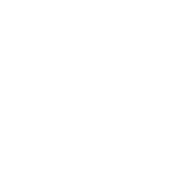 Roubaix Shopping