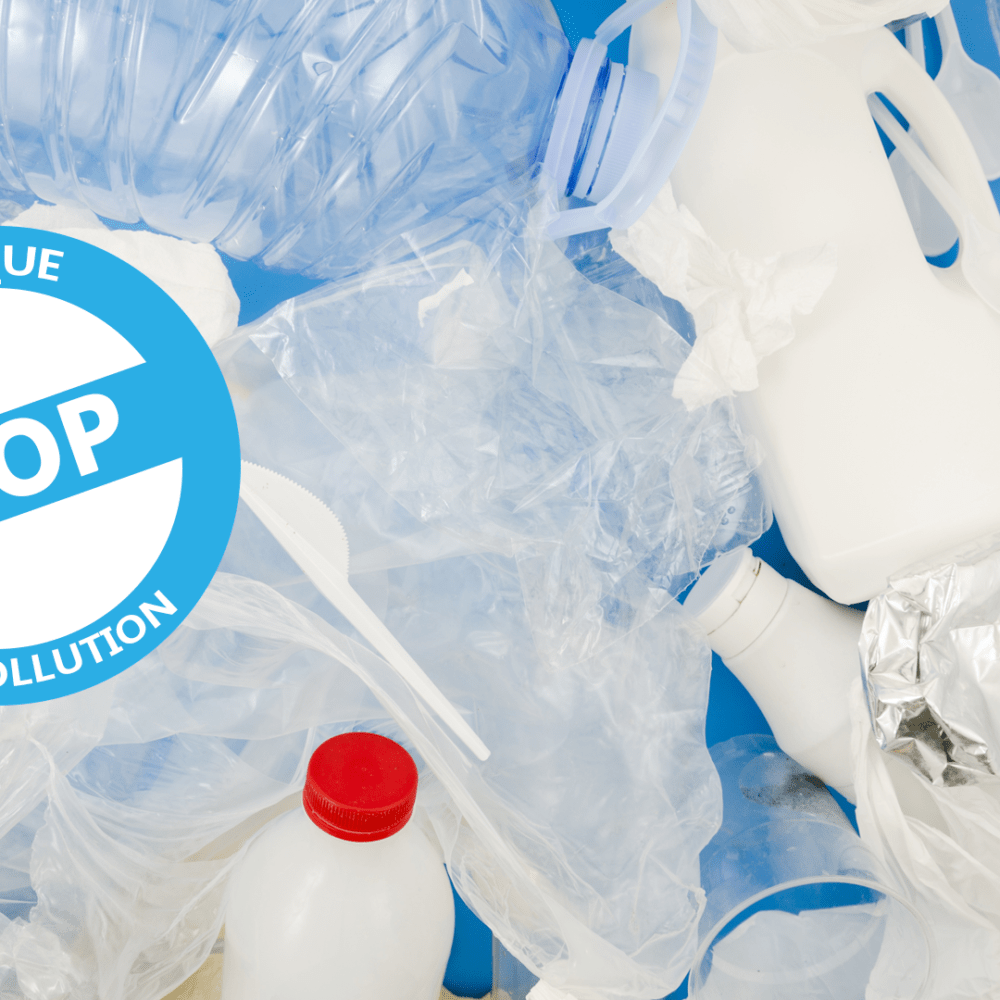 LA FIN DU PLASTIQUE À USAGE UNIQUE