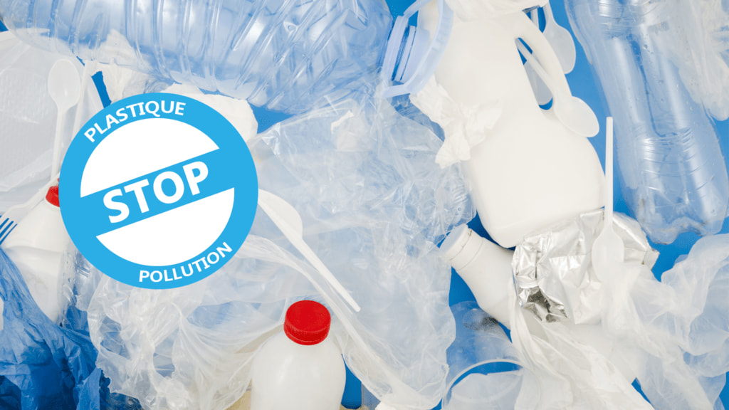 LA FIN DU PLASTIQUE À USAGE UNIQUE