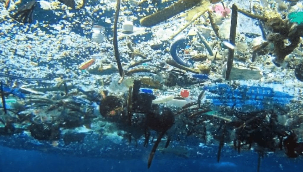 pollution mer bouteilles plastiques