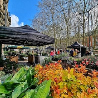 Marche-de-Printemps-Roubaix-2022-plantes-fleurs